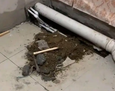 印江卫生间漏水检测哪家好
